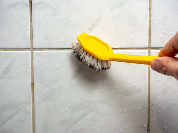 Best Certified Mold Removal  in Hoopa, CA