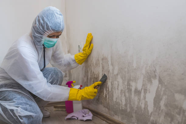 Best Crawl Space Mold Removal  in Hoopa, CA