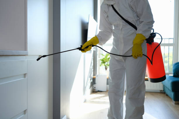 Best Office Mold Removal Services  in Hoopa, CA