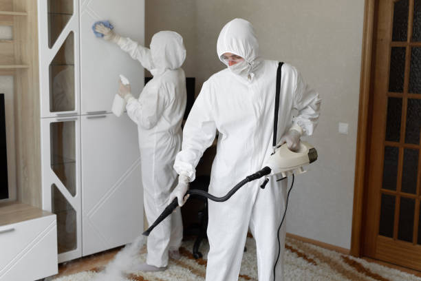 Mold Removal Process in Hoopa, CA