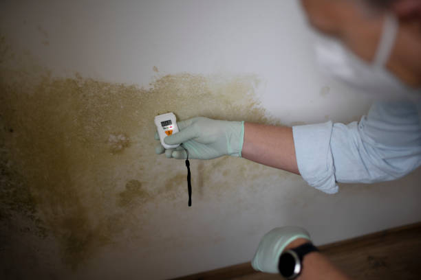 Best Mold Testing  in Hoopa, CA