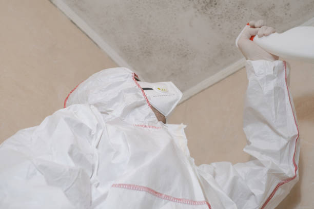 Best Mold Testing  in Hoopa, CA
