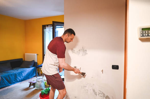 Best Mold Damage Repair  in Hoopa, CA