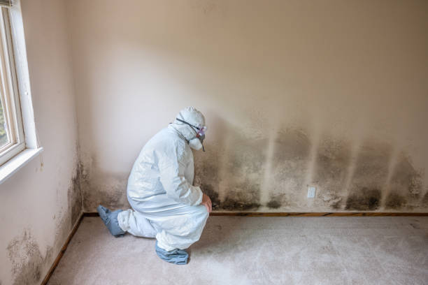Best Mold Testing  in Hoopa, CA